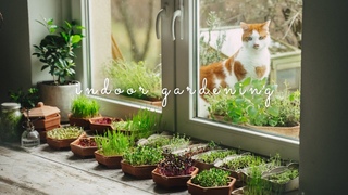 #35 Grow Vegetables Indoors: Microgreens & Sprouts - From Seed to Harvest