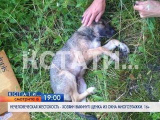 Смотрите сегодня в  на телеканале “Че“
