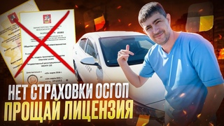 ПЛЮСЫ И МИНУСЫ СТРАХОВКИ ОСГОП / АННУЛИРОВАНИЕ ЛИЦЕНЗИИ ТАКСИ