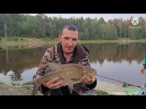 рыбалка в тагиле